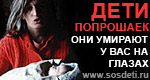 3154778.jpg