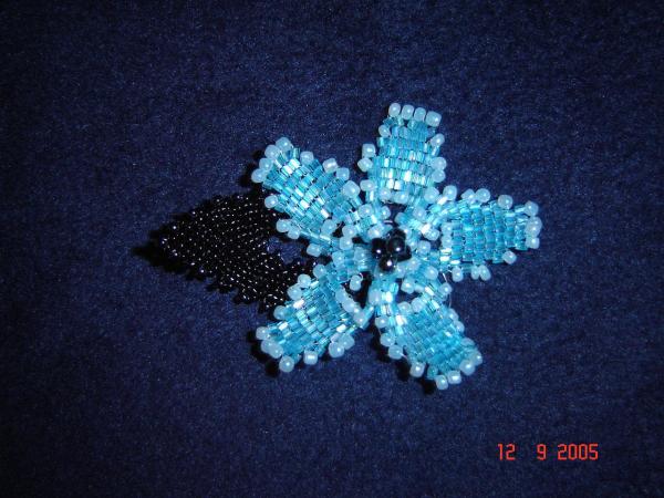 751519.jpg