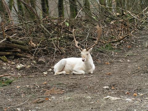 1463788.jpg