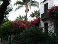 Madeira