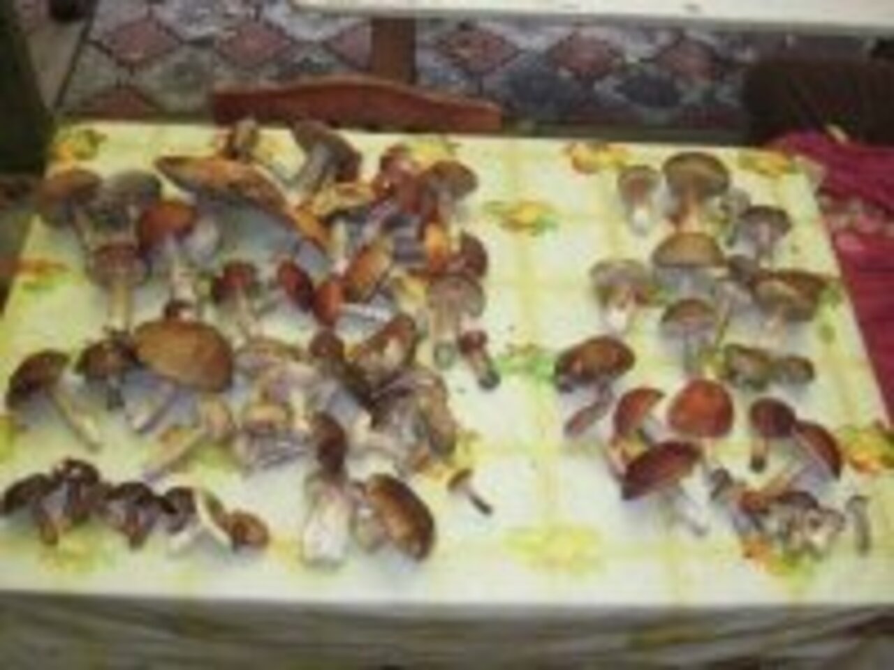 Грибочки
