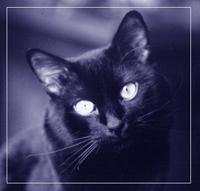 Фотография пользователя  Black
