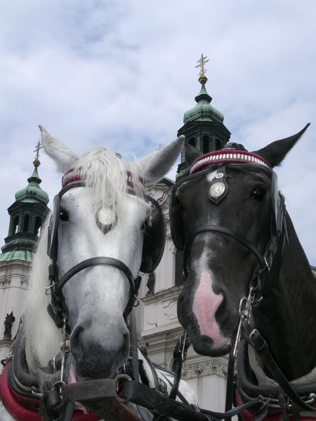 http://static.eva.ru/eva/200000-210000/203081/contest/5849160816000250.jpg